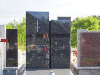 Zdj. nr: 303
