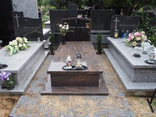 Zdj. nr: 308