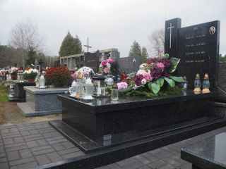 Zdj. nr: 321